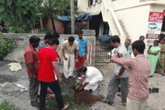 EnvironmentDay-1