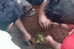 EnvironmentDay-4